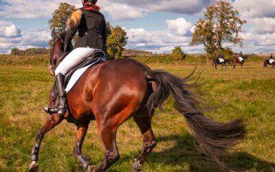 Preventing Back Pain From Horseback Riding